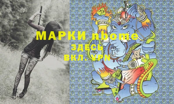 ПСИЛОЦИБИНОВЫЕ ГРИБЫ Козловка