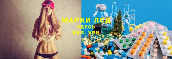 ПСИЛОЦИБИНОВЫЕ ГРИБЫ Козловка