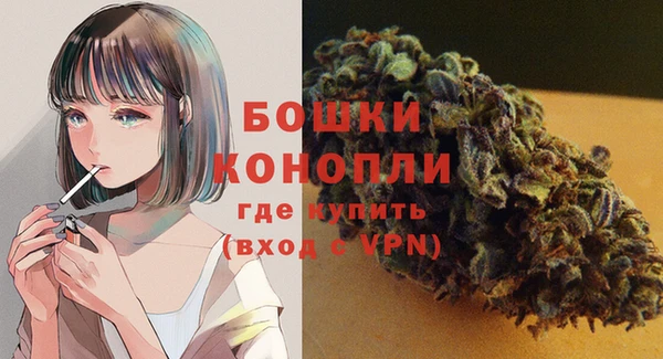 ПСИЛОЦИБИНОВЫЕ ГРИБЫ Козловка