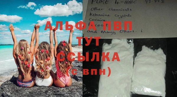 ПСИЛОЦИБИНОВЫЕ ГРИБЫ Козловка